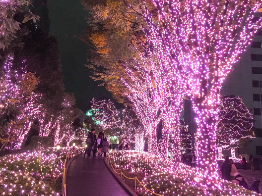 Christmas lights on the Southern Terrace in Shinjuku suburb of Tokyo, Japan