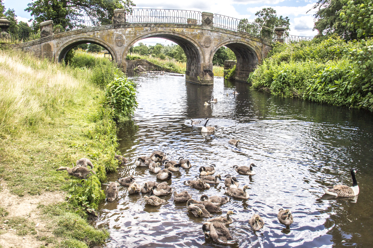 Dam Head Bridge on the River Dearne in the Yorkshire Sculpture Park, West Yorkshire, UK  0422