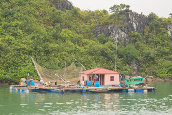 Floating fish farm in Halong Bay in Vietnam