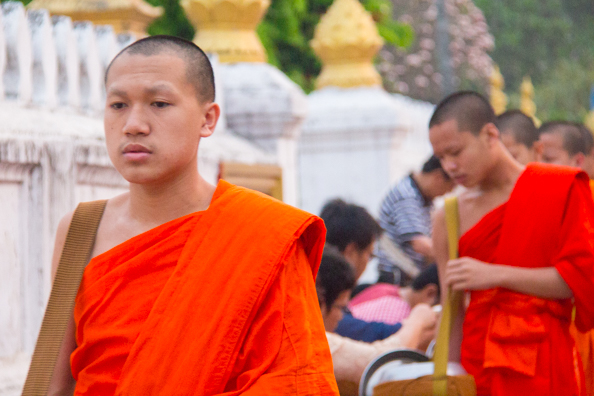 Giving alms to the monks of Luang Prabang in   Laos
