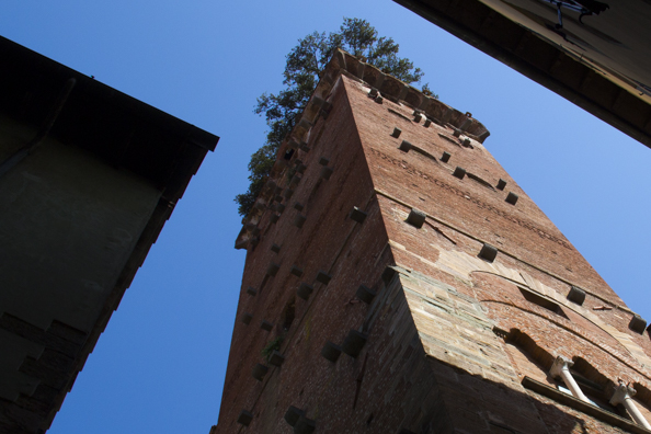 Guinigi Tower in Lucca, Tuscany in Italy