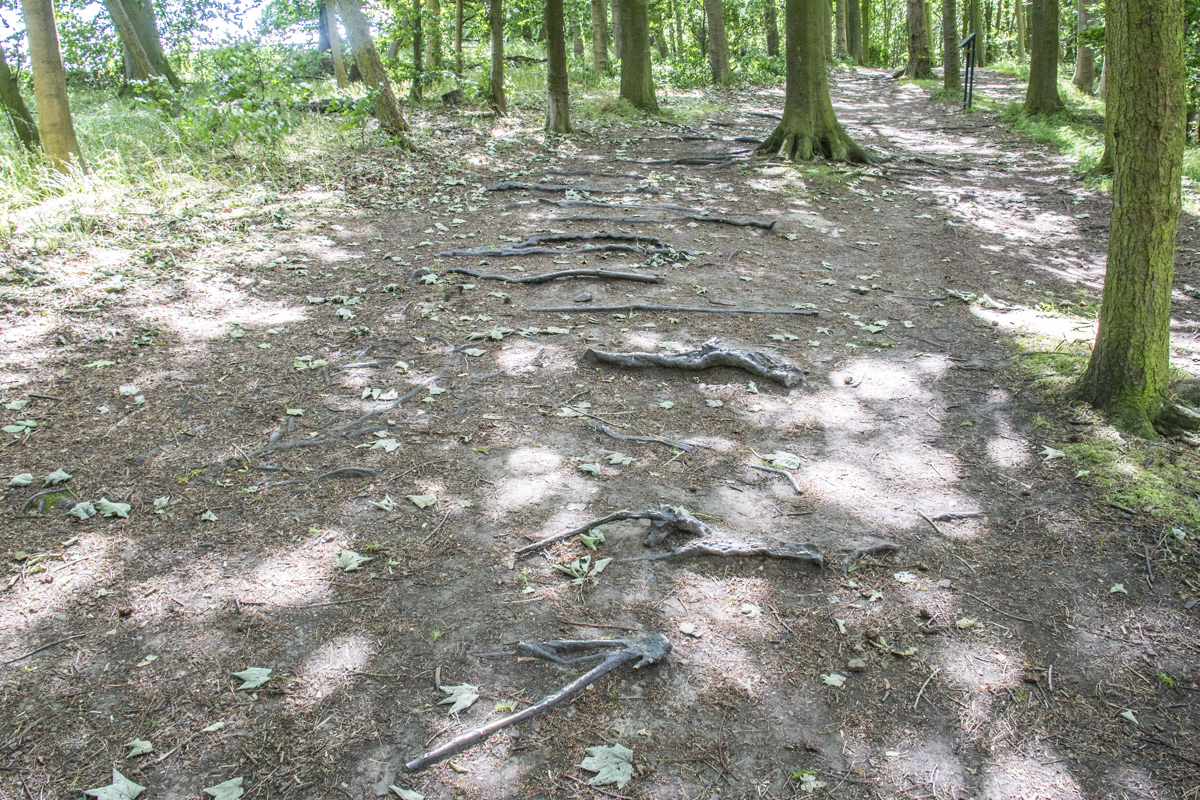 Hemali Bhuta – Speed Breakers in the Yorkshire Sculpture Park, West Yorkshire, UK  0450