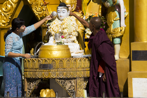 Monk worshipping at Shwedagon Paya in Yangon  Myanmar