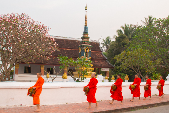 Monks marching past Wat Sene Souk Haram in Luang Prabang in Laos