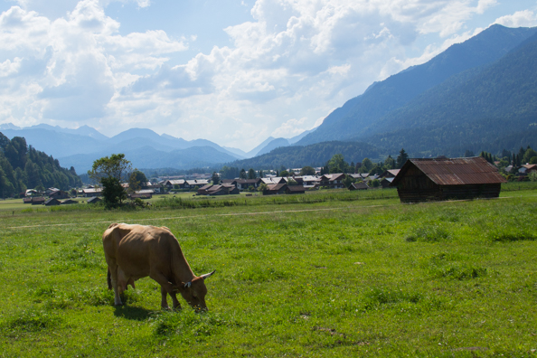 Pastures around Garmisxh-Partenkirchen in Bavaria