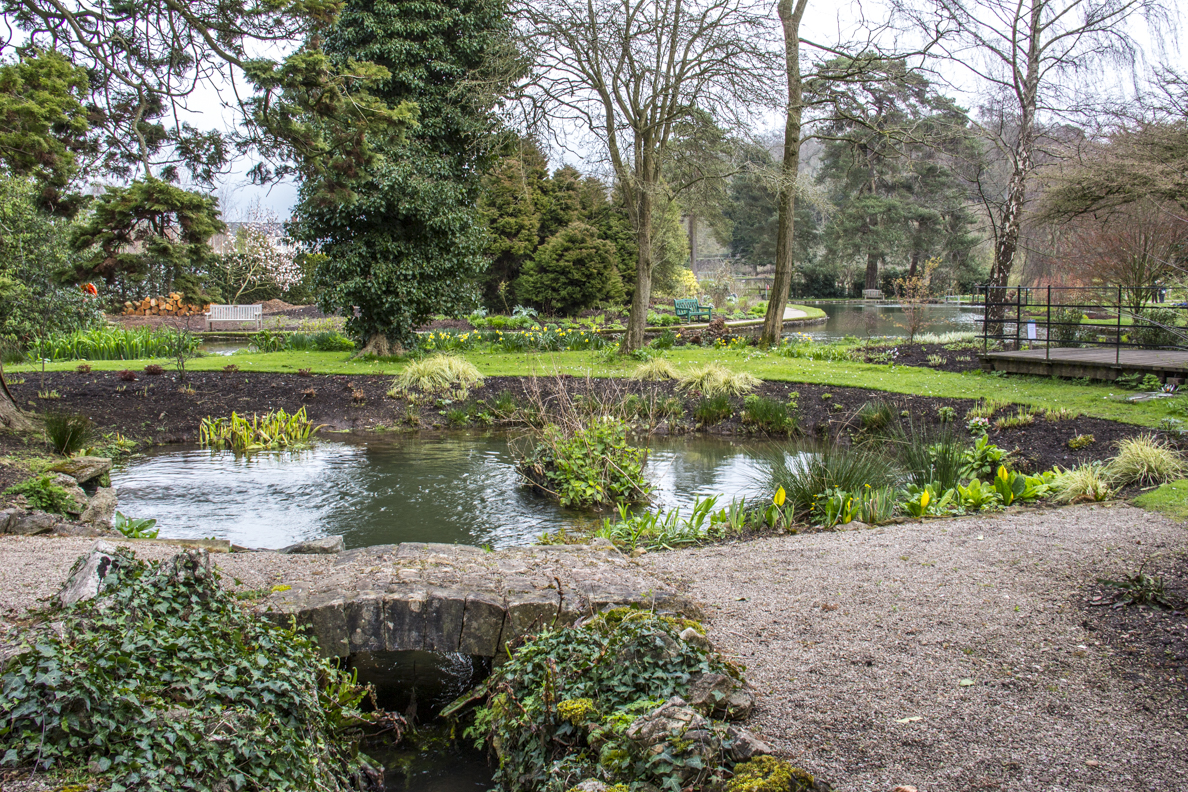 Saint Andrews Wells in the grounds of the Bishop's Palace in Wells, Somerset, England   20185384