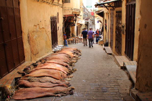 Sheep pelts in the medina in Fez Morocco