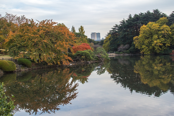 Shinjuku Gyoen National gardens, Shinjuku suburb, Tokyo, Japan
