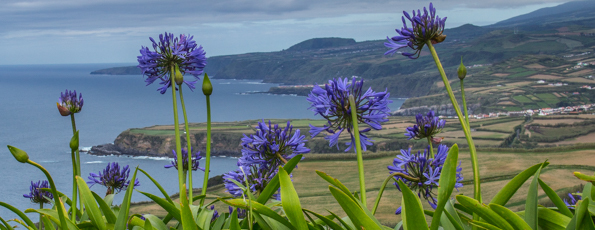 Views, Villages and Vegetation on São Miguel an Island in the Azores