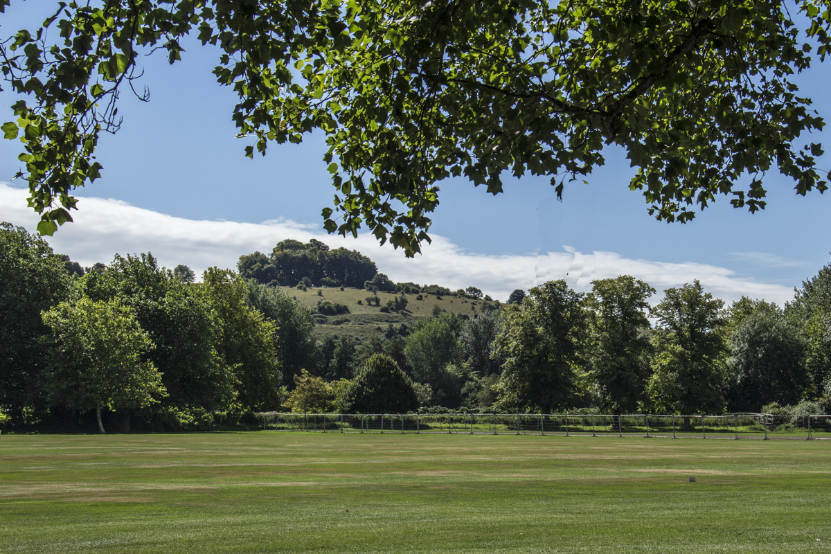 St Catherine's Hill behind Winchester College Cricket ground in Winchester 2345