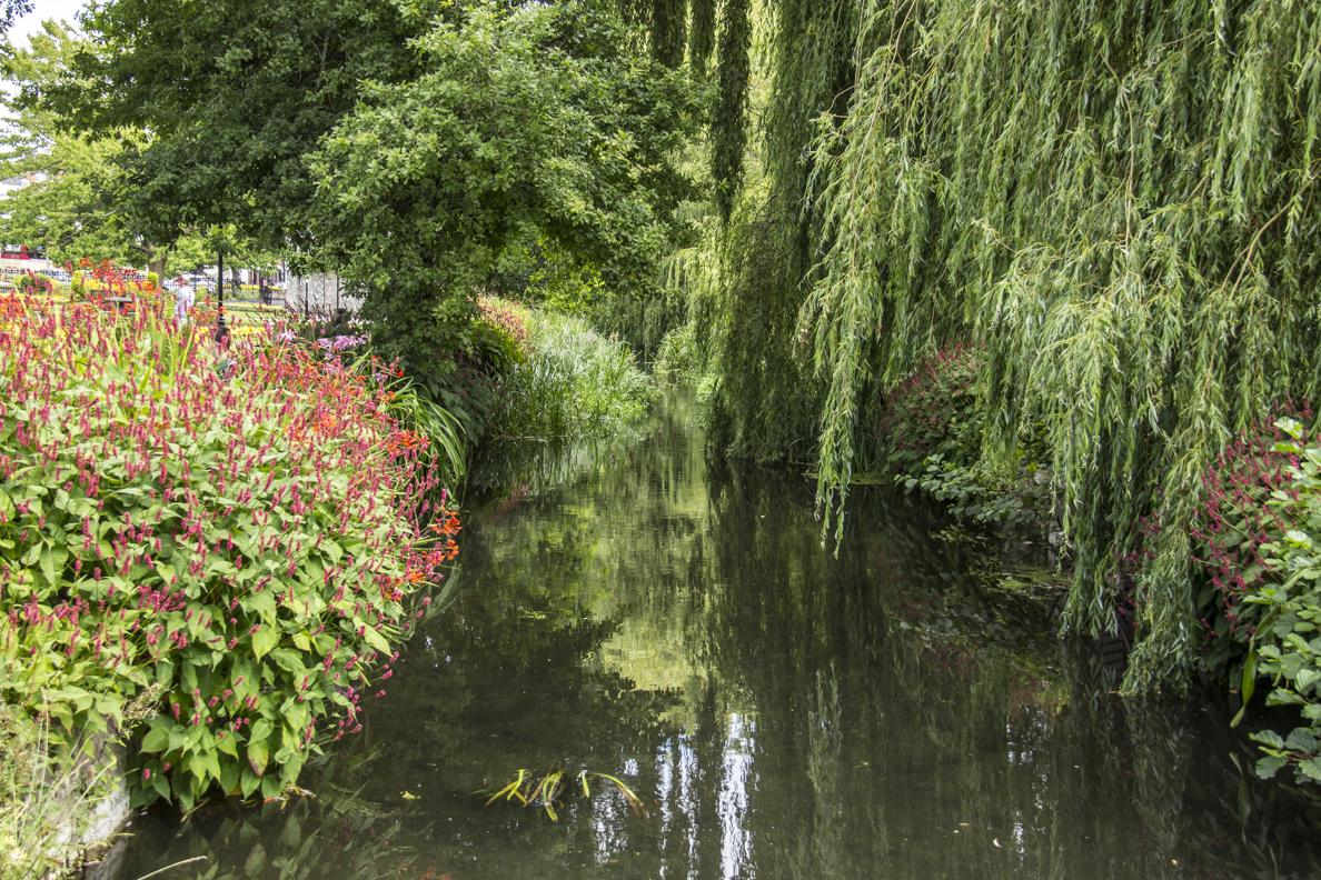 The Abbey Mill Stream in the Abbey Mill Gardens of Winchester, Hampshire, England  2401