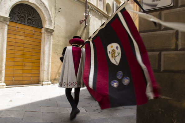 The flog of the Contrada of the Owl in Siena in Italy