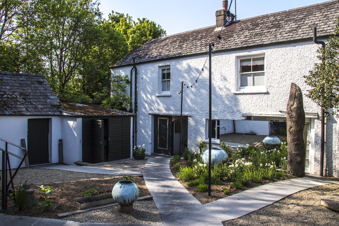 The garden at Llys Meddyg in Newport, Pembrokeshire, Wales 8518