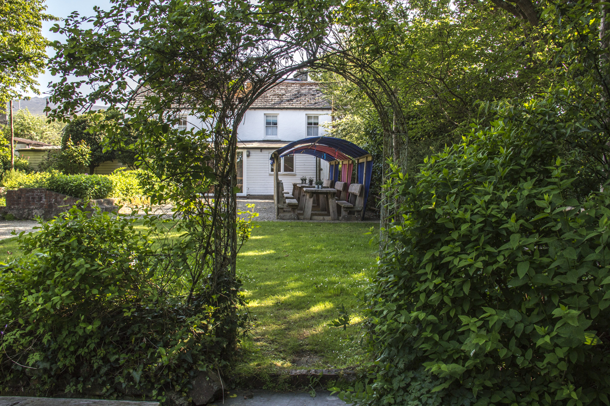 The garden at Llys Meddyg in Newport, Pembrokeshire, Wales   8527