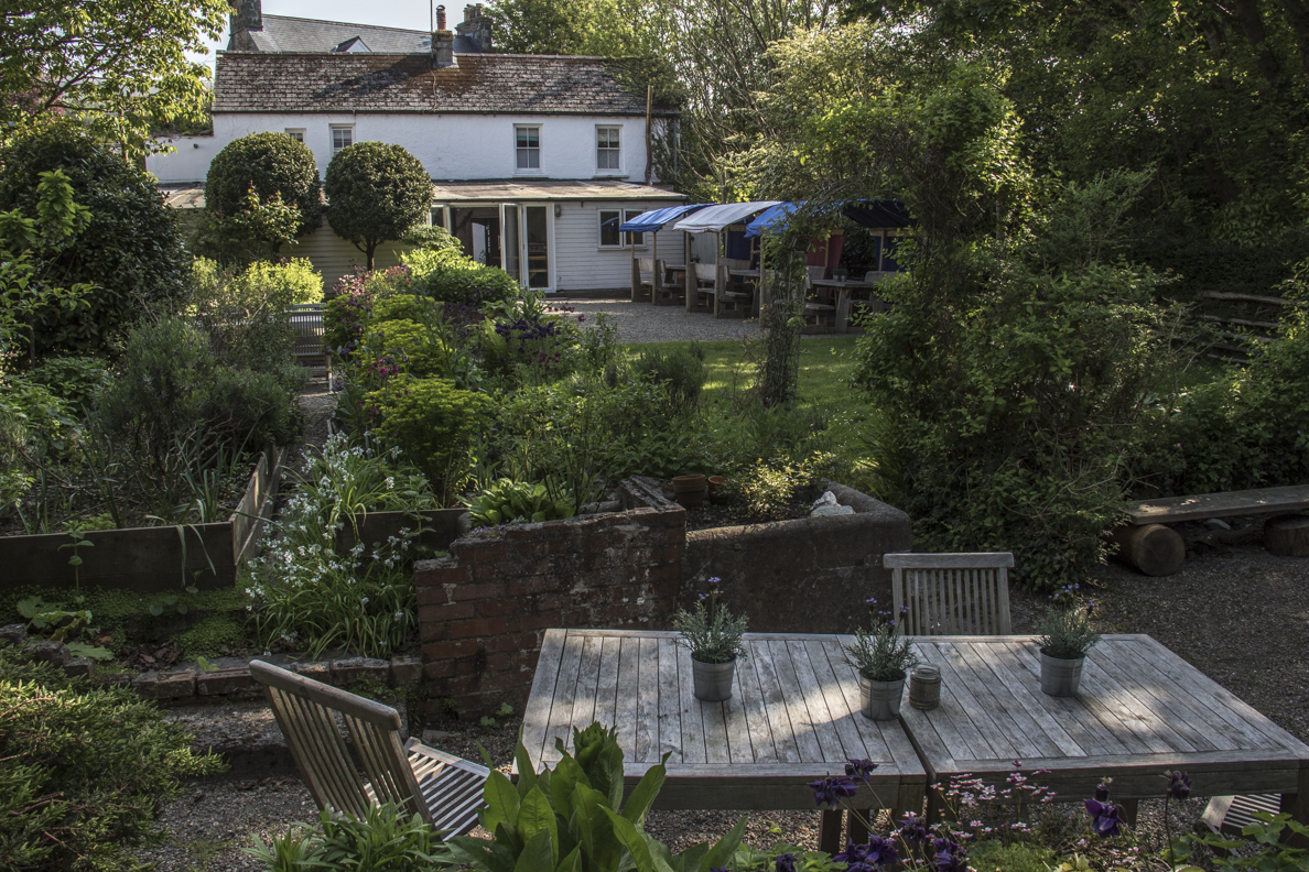 The garden of Llys Meddyg in Newport, Pembrokeshire, Wales 8535