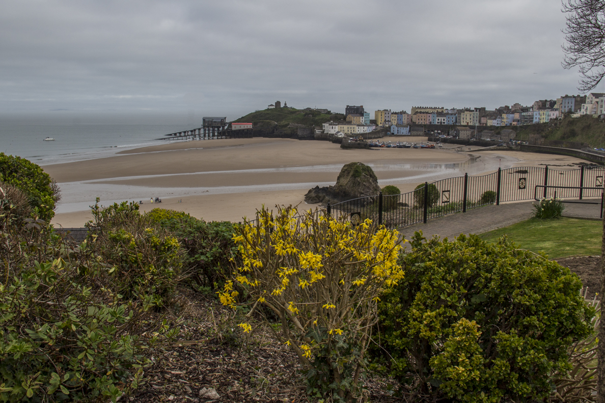 The gardens on The Croft in Tenby in Pembrokeshire, Wales  6420