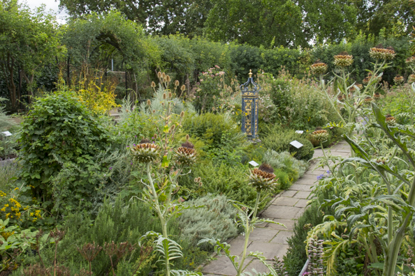 The medicinal plants in the Queen's Garden at Kew Gardens in London