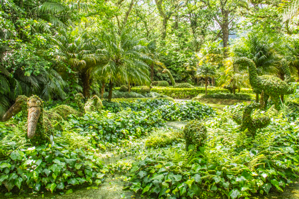 The Terra Nostra Garden in the Furnas Valley on São Miguel Island in the Azores