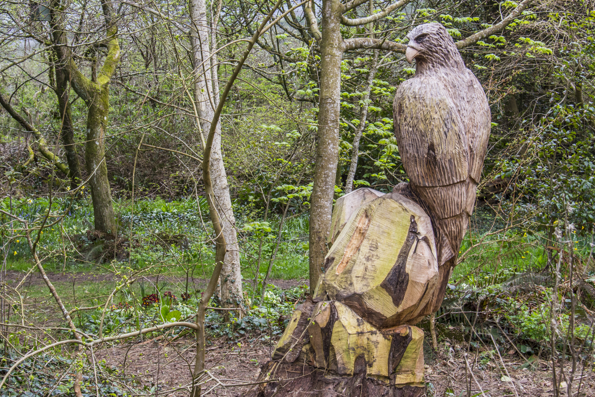 Wood carving at Allen's view on the Coastal Path above Tenby Pembrokeshire, Wales  6437